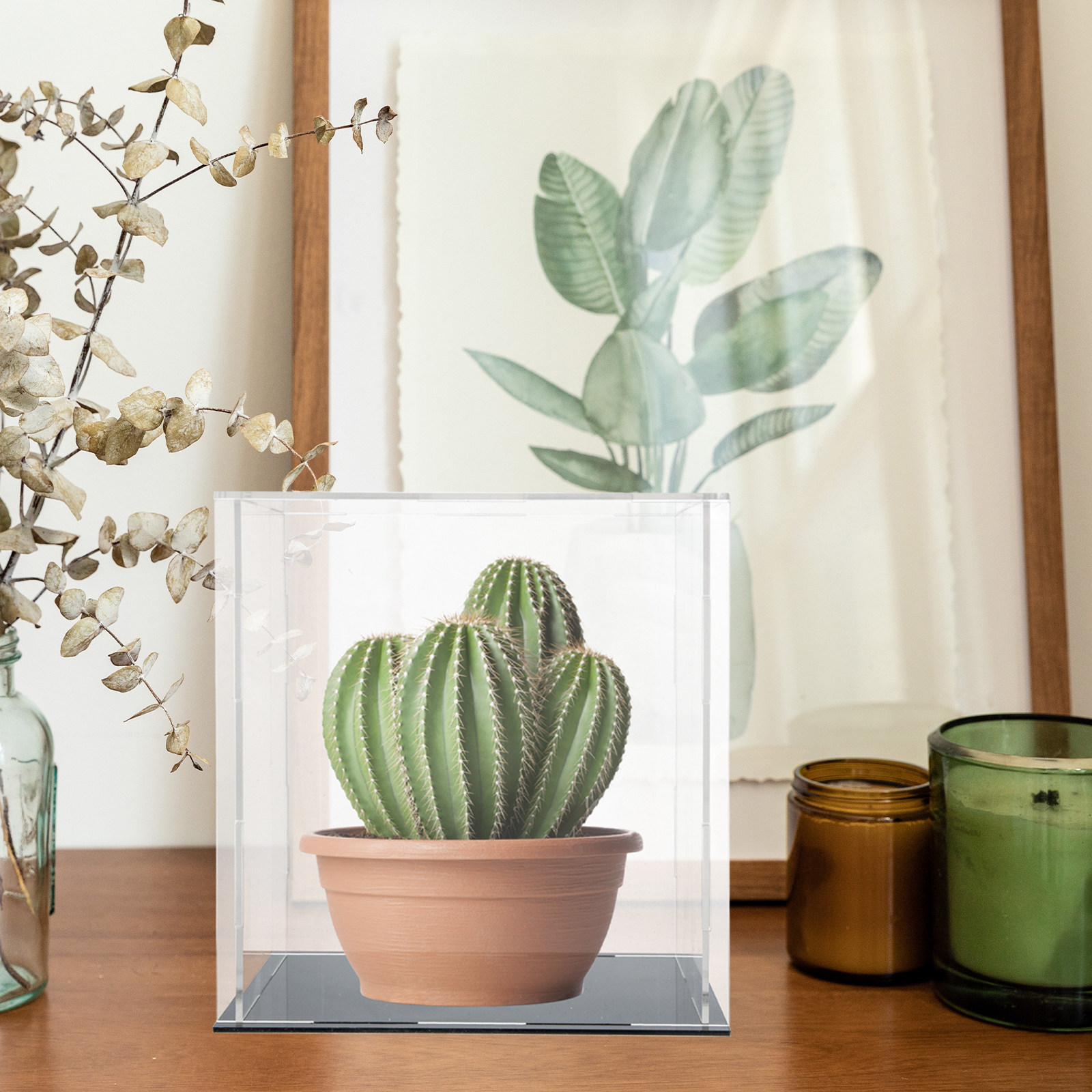 Acrylic Transparent Display Ca - Display Case Acrylic 评论和价格