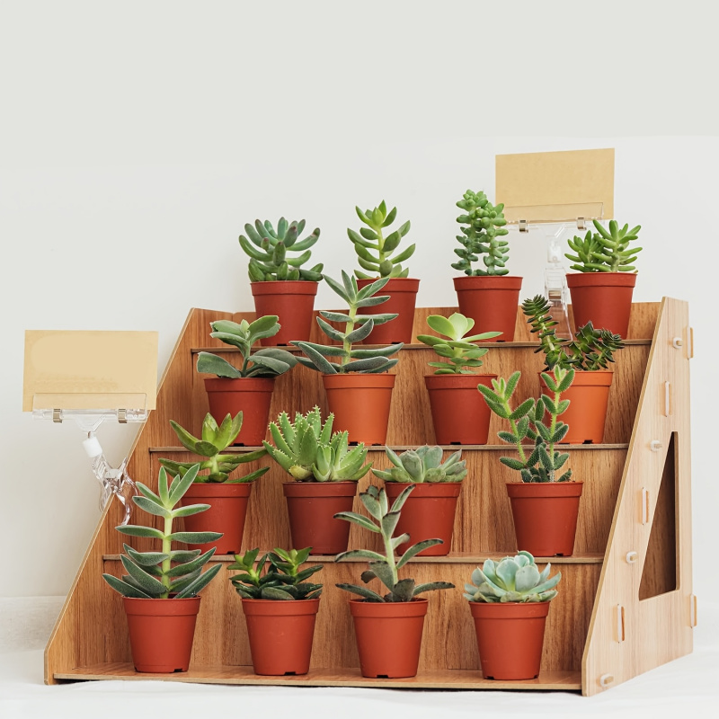 Wooden Display Rack, Farm Mark - Pop Display Shelf 评论和价格